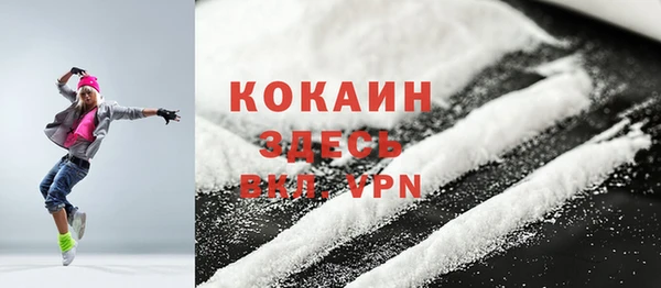 бошки Бородино