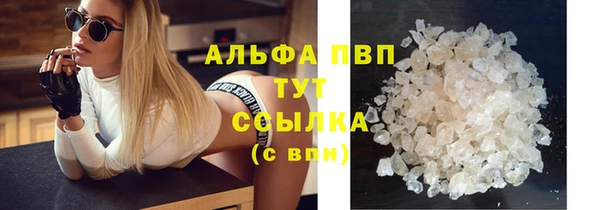 бошки Бородино