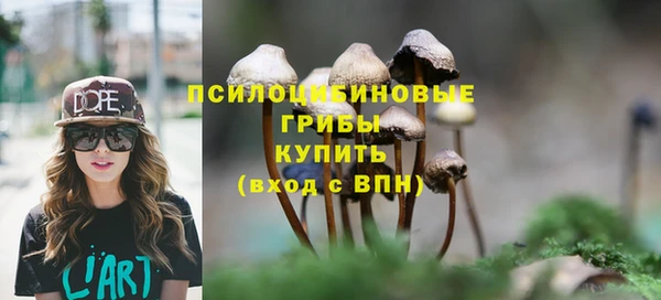 стафф Бронницы