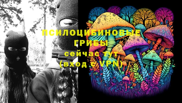 стафф Бронницы