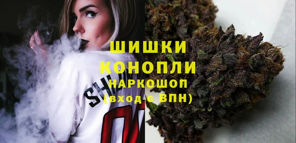 бошки Бородино