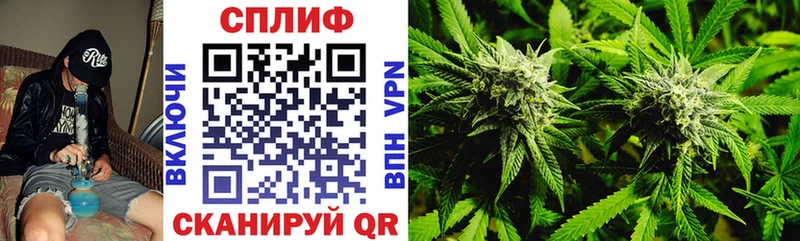 Бошки Шишки Amnesia  блэк спрут ONION  Тамбов 